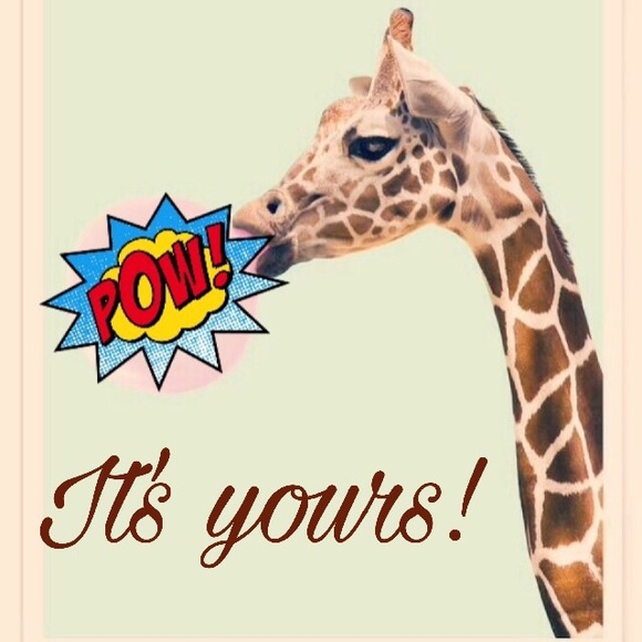 Make Me An Offer! The Giraffe says you should. - Picture 2 of 6